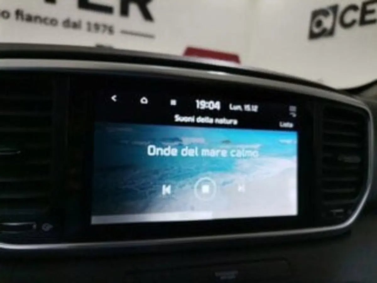 Kia Sportage usata a Salerno (14)