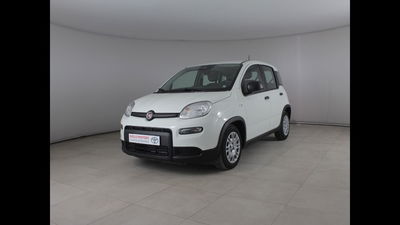 Fiat Panda 1.0 firefly hybrid s&amp;s 70cv del 2024 usata a Palermo