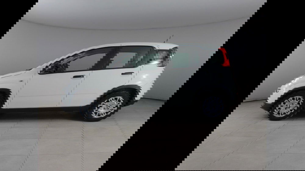 Fiat Panda usata a Palermo (2)