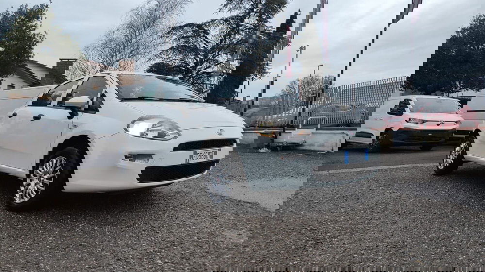 Fiat Punto usata a Firenze (13)