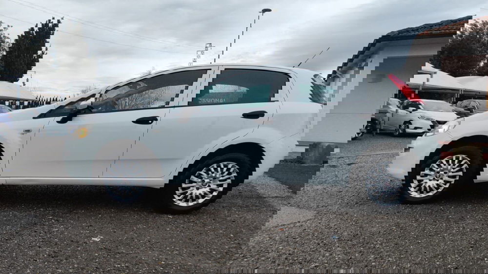 Fiat Punto usata a Firenze (3)