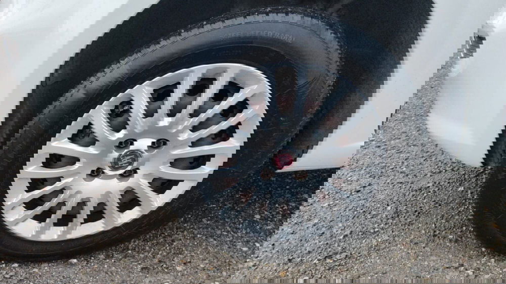 Fiat Punto usata a Firenze (5)