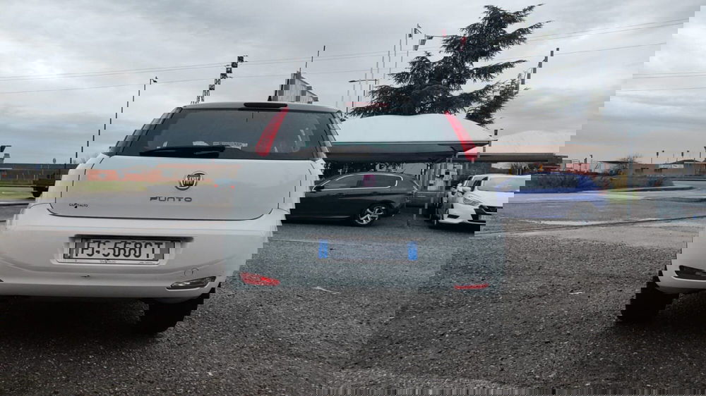 Fiat Punto usata a Firenze (7)