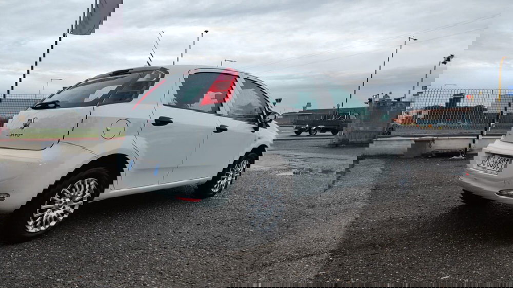 Fiat Punto usata a Firenze (9)