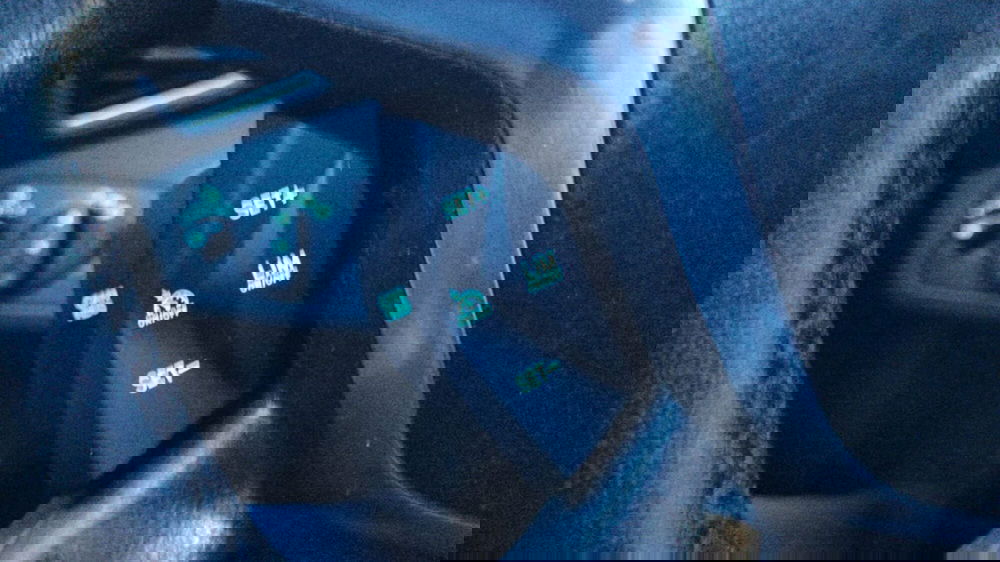 Ford C-Max usata a Firenze (19)