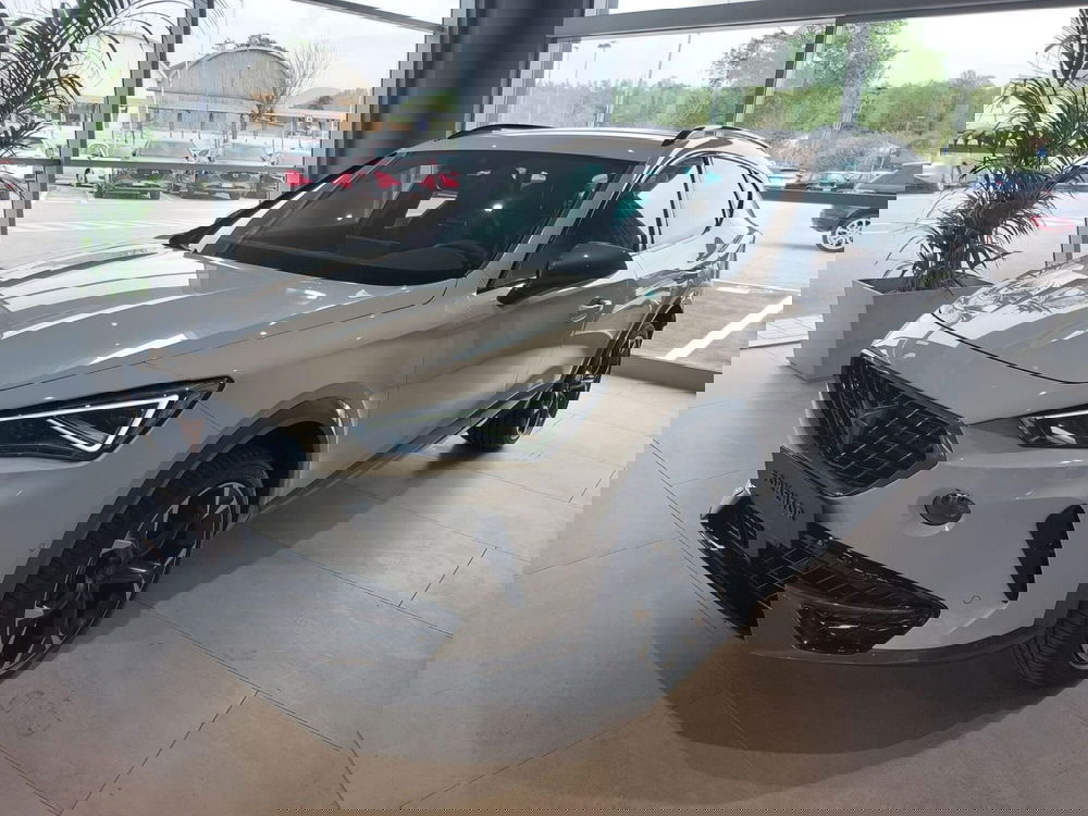 Cupra Formentor usata a Frosinone (4)