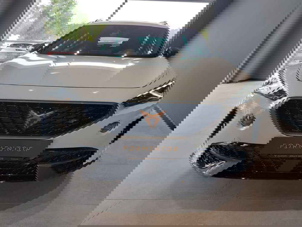 Cupra Formentor usata a Frosinone (5)