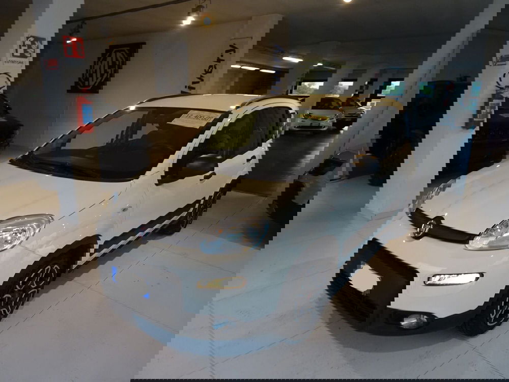 Fiat Panda usata a Lucca