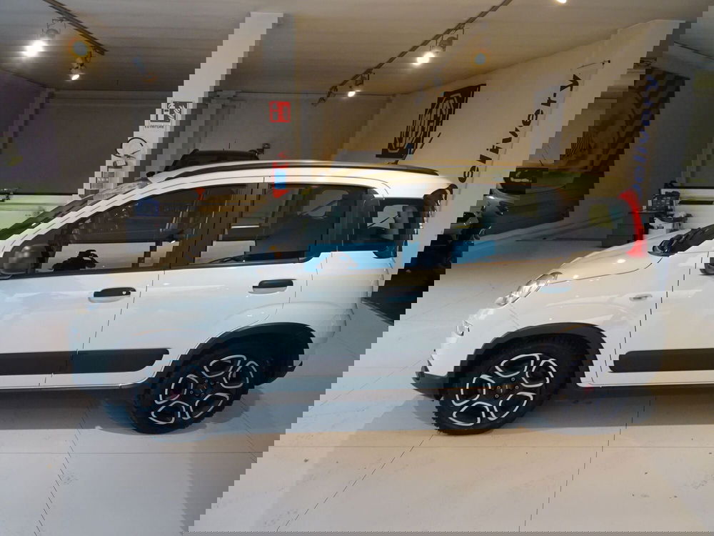 Fiat Panda usata a Lucca (2)