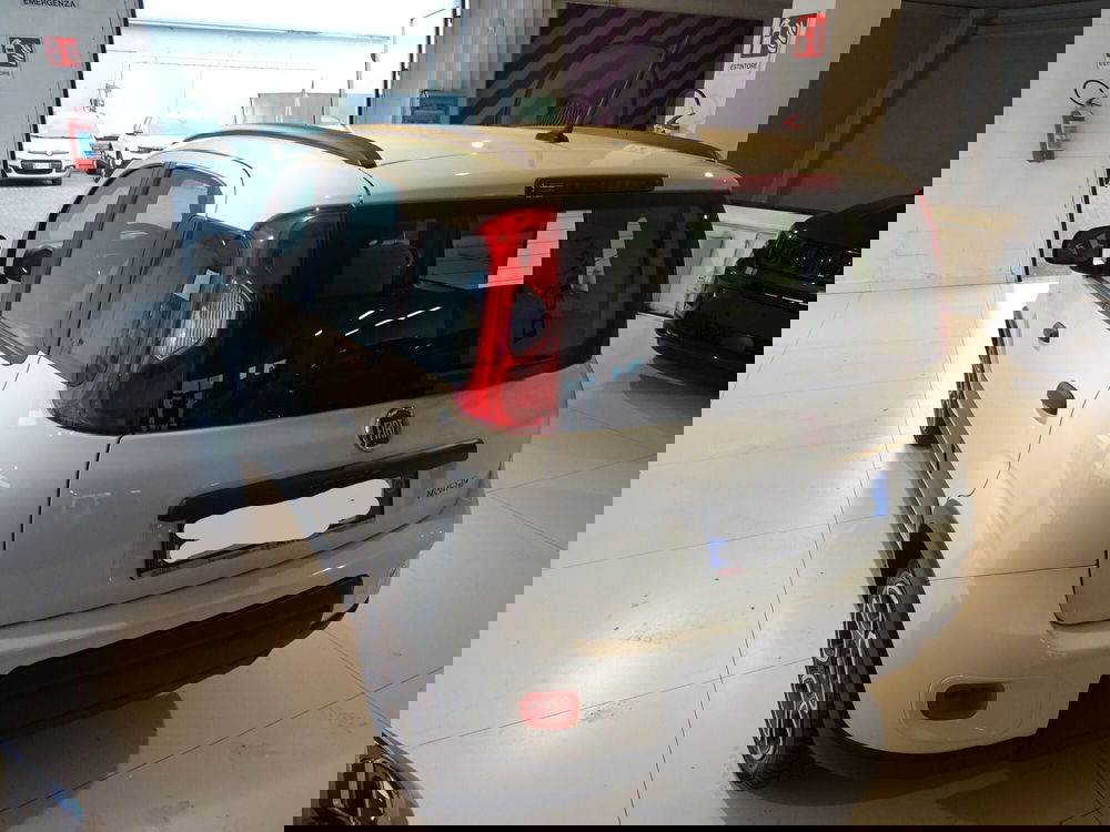 Fiat Panda usata a Lucca (3)