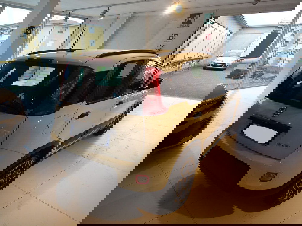 Fiat Panda usata a Lucca (4)