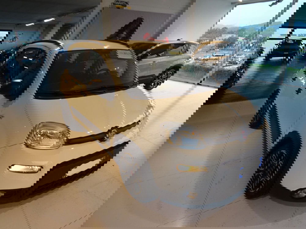 Fiat Panda usata a Lucca (5)