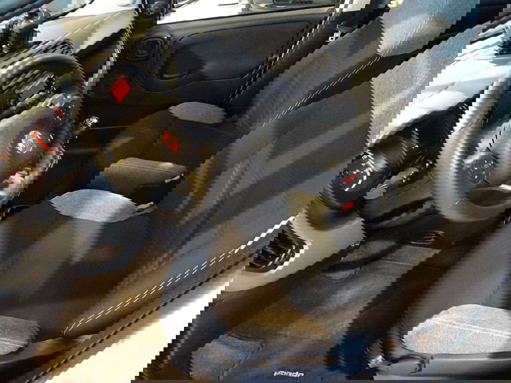 Fiat Panda usata a Lucca (7)