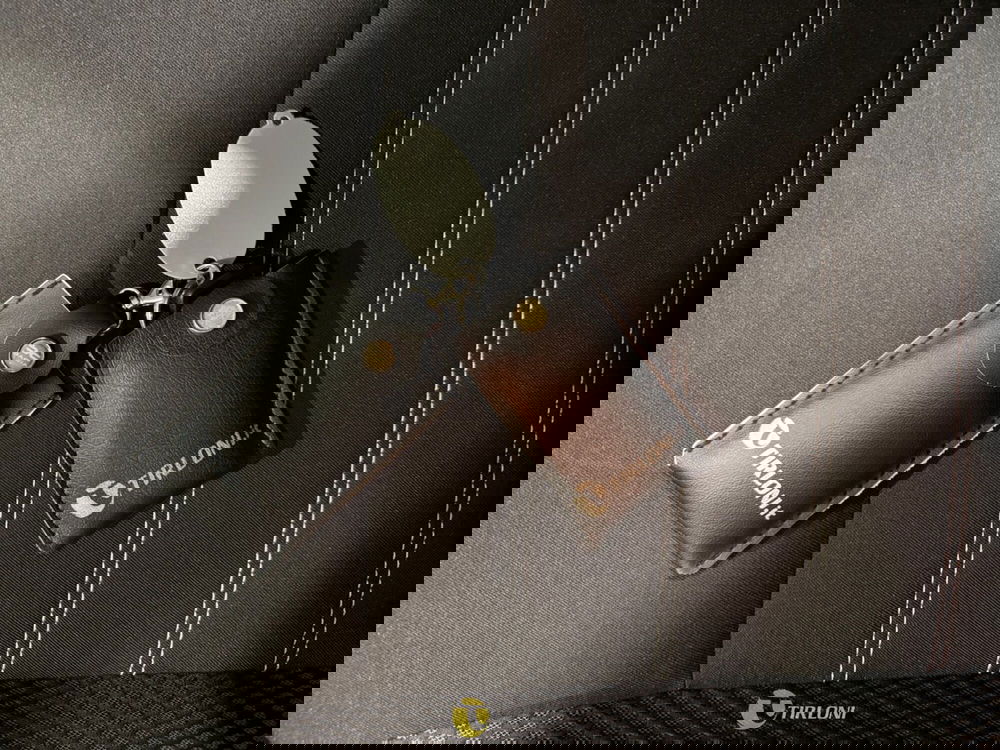 Dacia Duster usata a Milano (18)