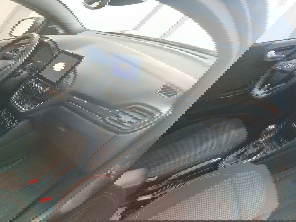 Ford Puma usata a Arezzo (10)