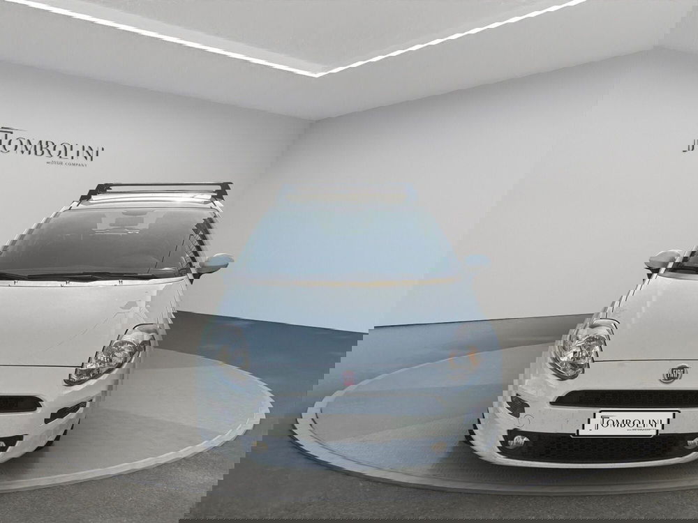 Fiat Punto usata a Perugia (4)