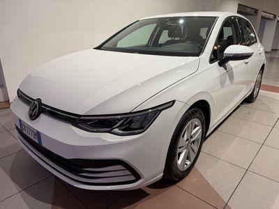 Volkswagen Golf 2.0 TDI SCR Life del 2023 usata a Genova