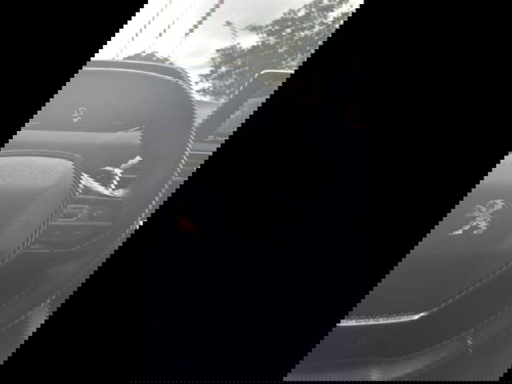 Peugeot 3008 usata a Caltanissetta (18)