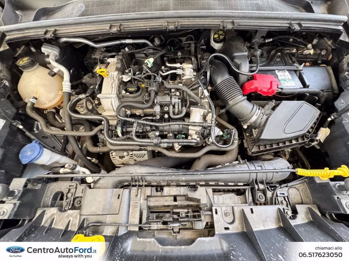 Ford Puma usata a Roma (12)
