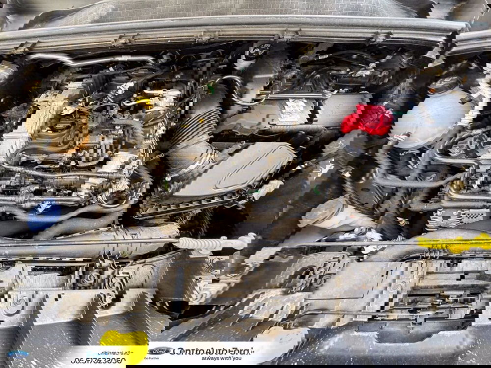 Ford Puma usata a Roma (12)