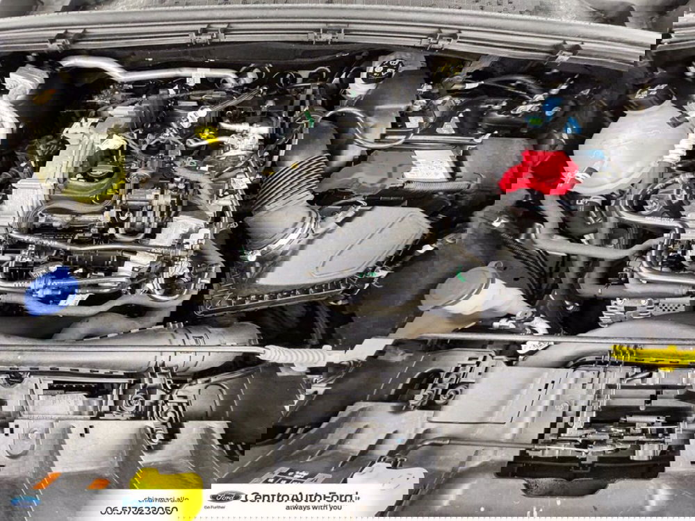 Ford Puma usata a Roma (12)