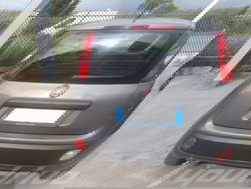 Fiat Panda usata a Napoli (3)