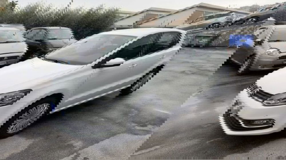 Volkswagen Polo usata a Macerata