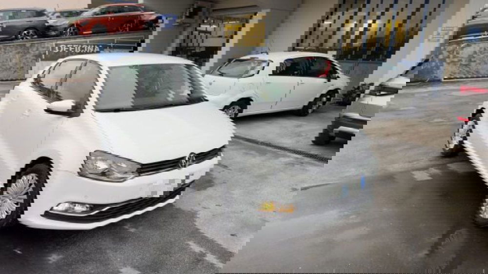 Volkswagen Polo usata a Macerata (2)