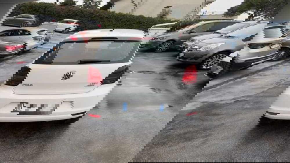 Volkswagen Polo usata a Macerata (4)