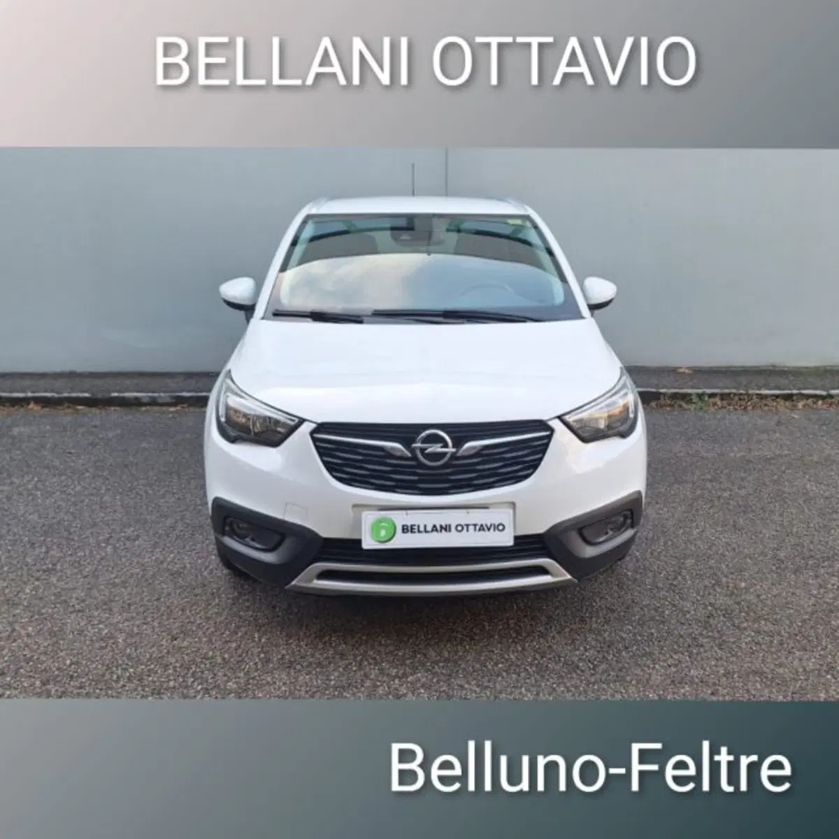 Opel Crossland X usata a Belluno (2)