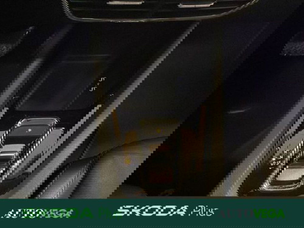 Skoda Octavia Station Wagon usata a Vicenza (11)