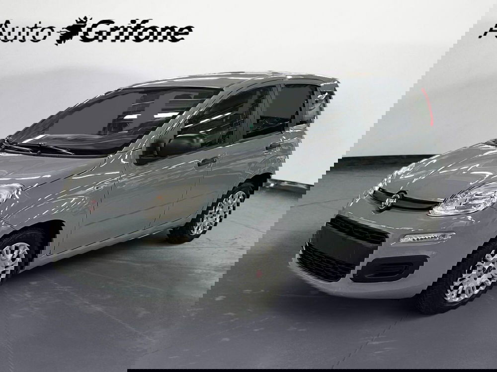 Fiat Panda usata a Modena