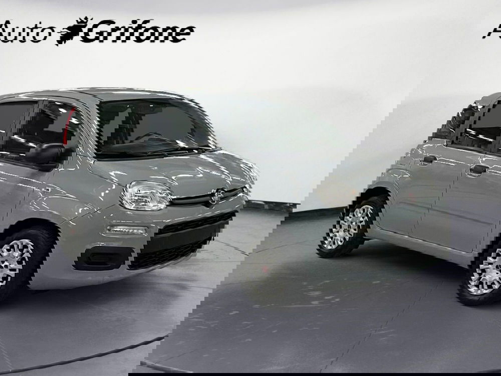 Fiat Panda usata a Modena (7)