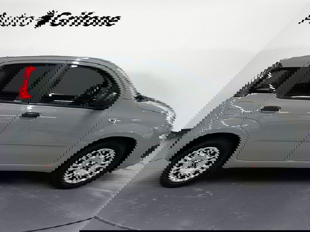 Fiat Panda usata a Modena (6)