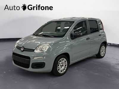 Fiat Panda 1.0 FireFly S&amp;S Hybrid City Cross del 2022 usata a Modena