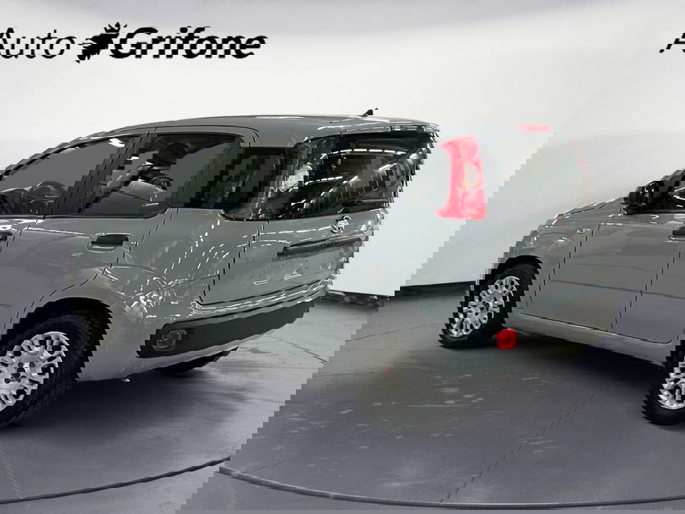 Fiat Panda usata a Modena (3)