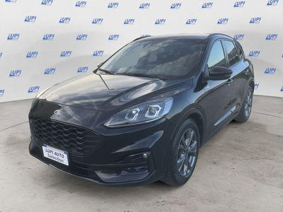 Ford Kuga 2.0 EcoBlue 120 CV aut. 2WD ST-Line X del 2023 usata a Serravalle Pistoiese