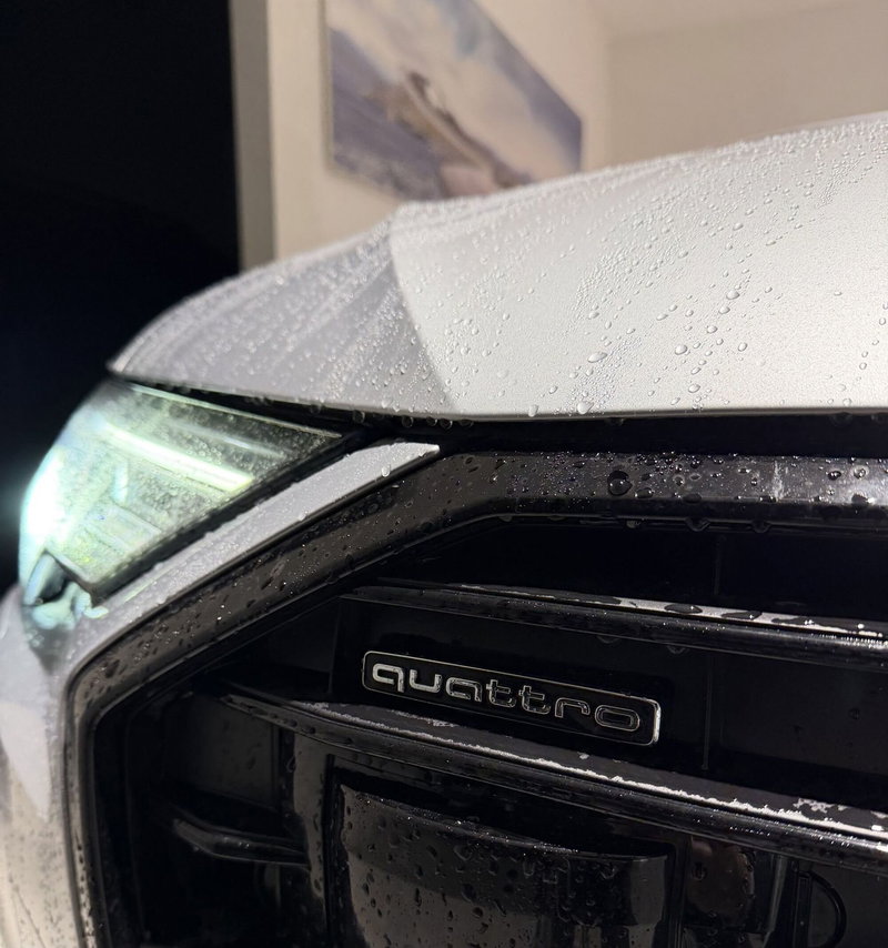 Audi A6 Avant usata a Parma (16)