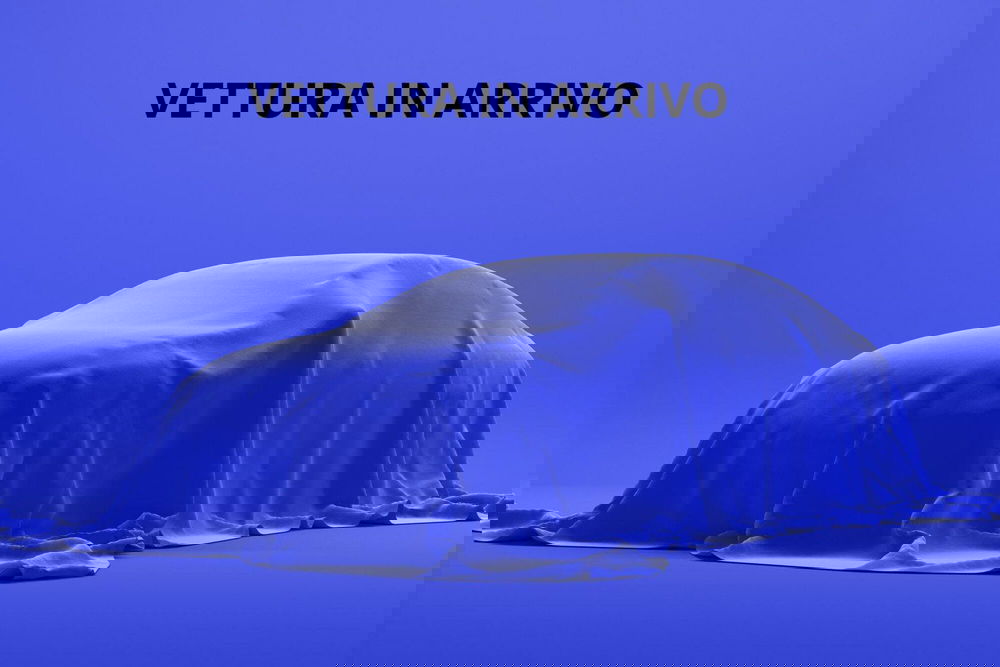 Skoda Karoq usata a Torino