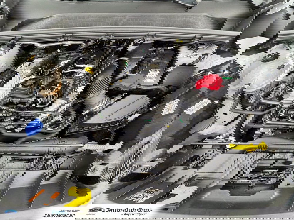 Ford Puma usata a Roma (12)