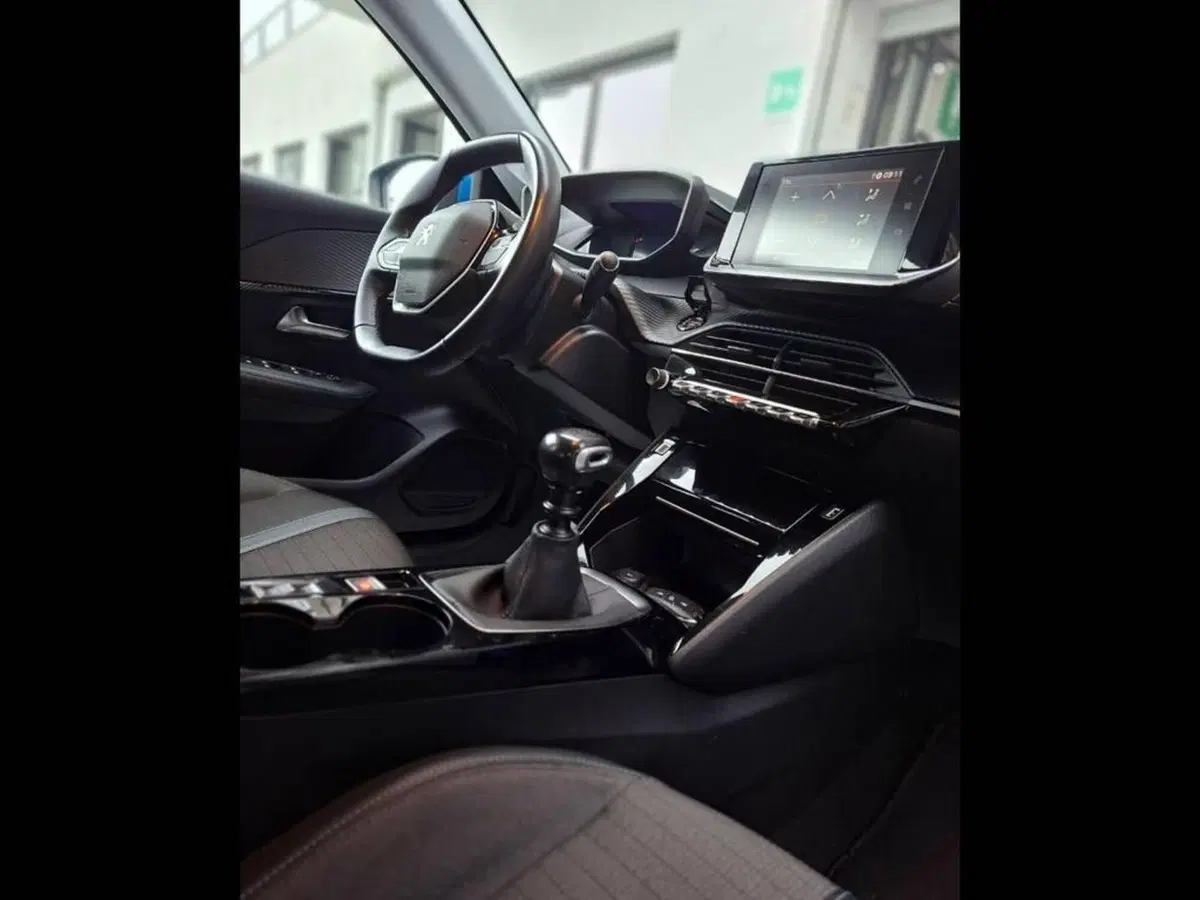 Peugeot 208 usata a Torino (11)