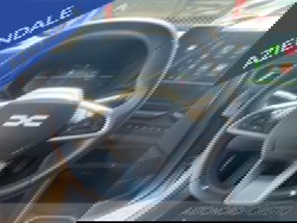 Dacia Duster Van usata a Udine (13)