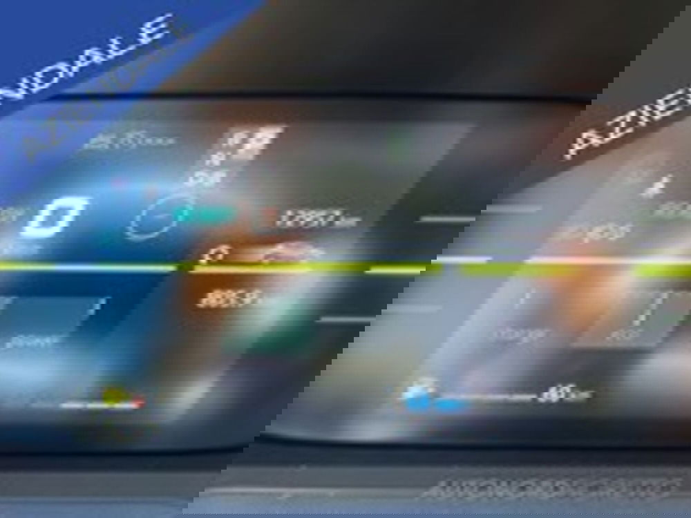 Dacia Duster Van usata a Udine (14)