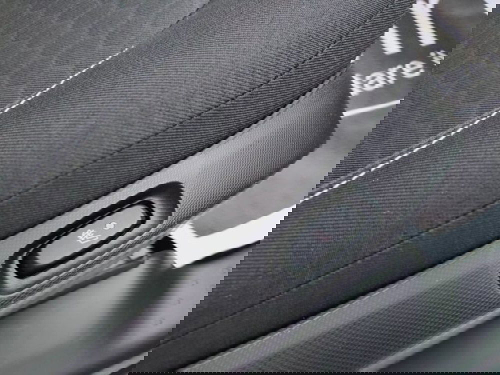 smart forfour usata a Teramo (9)