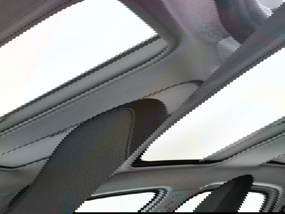 smart forfour usata a Teramo (13)