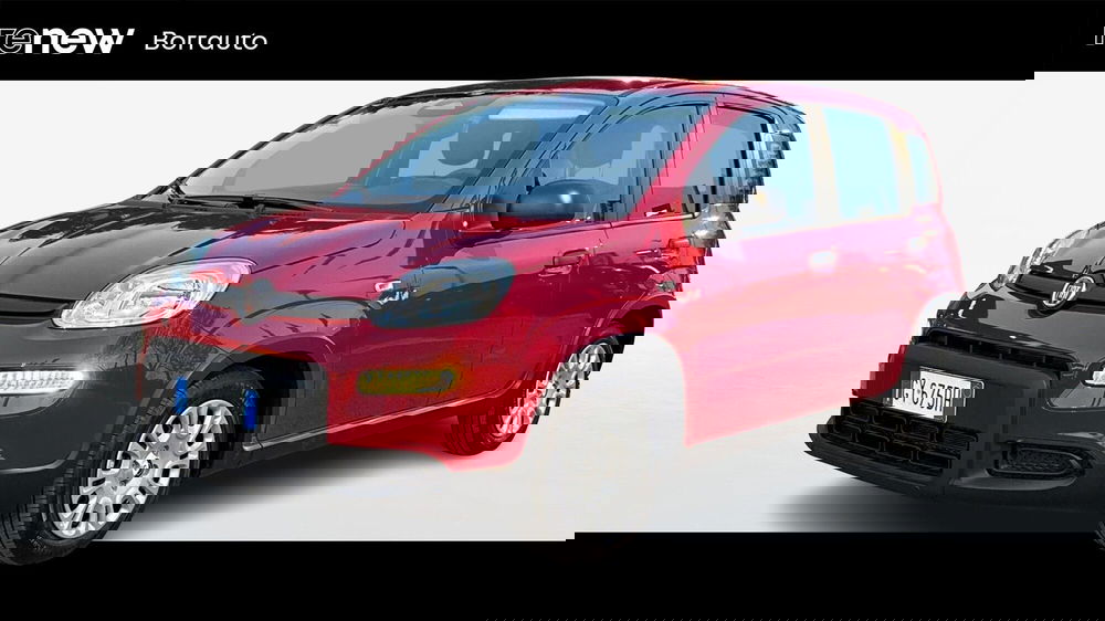 Fiat Panda usata a Treviso