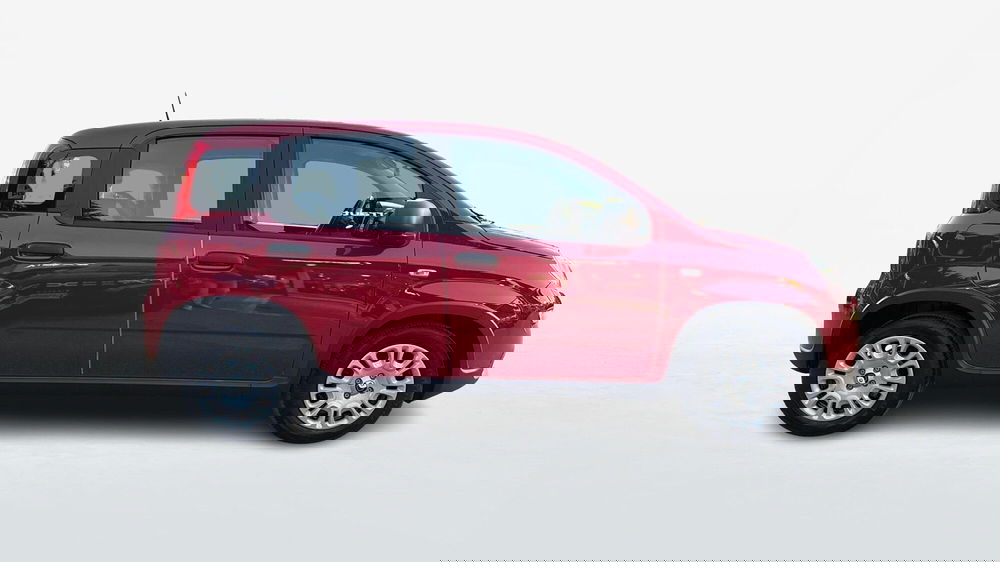 Fiat Panda usata a Treviso (2)