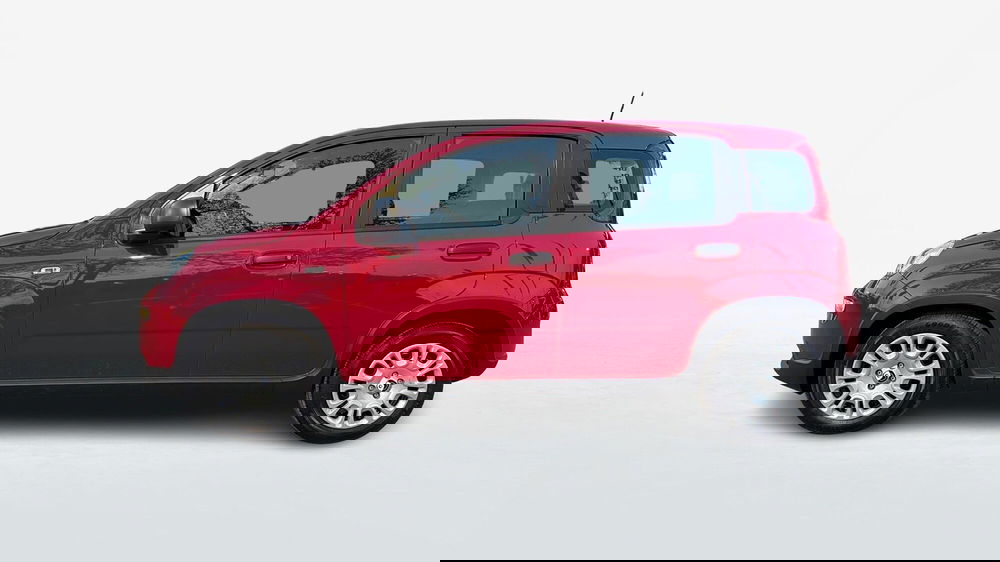 Fiat Panda usata a Treviso (3)