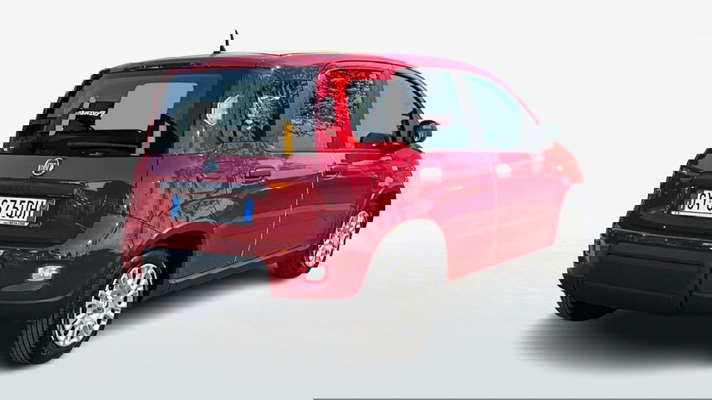 Fiat Panda usata a Treviso (4)