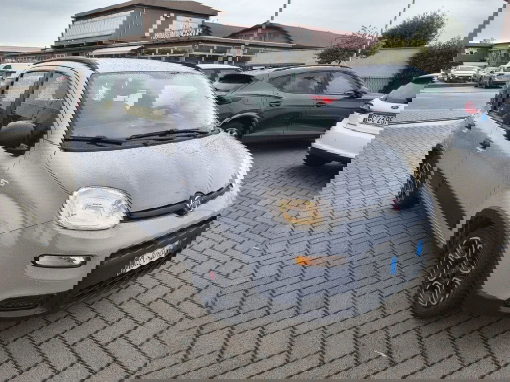 Fiat Panda usata a Firenze (3)